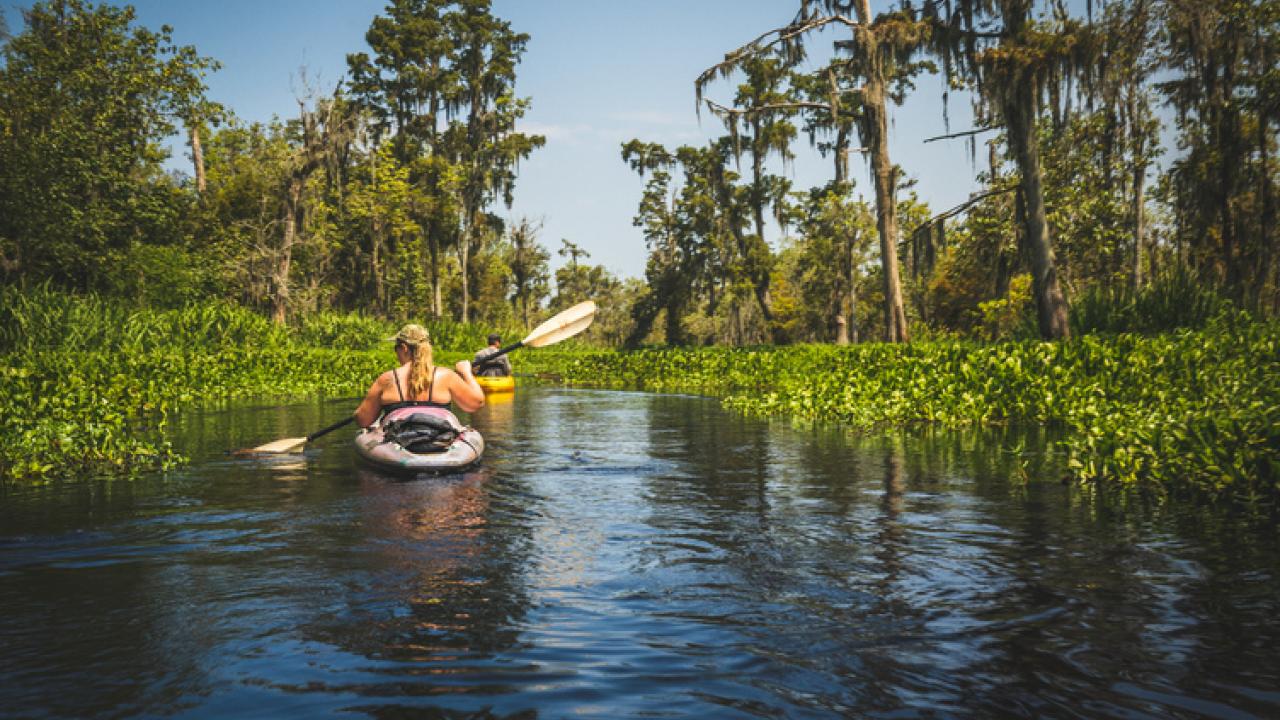 在路易斯安那州新奥尔良的皇家街上,伴随街头艺人演奏的现场音乐翩翩起舞