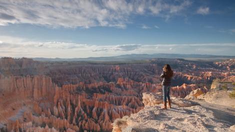 Felsformationen (Hoodoos) erheben sich wie ein Felswald.