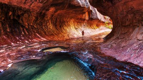  Einer der funkelnden Emerald Pools, ein Uferlebensraum unter den Felswänden des Canyons