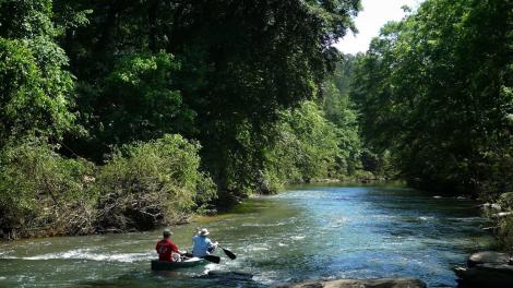 A peaceful trip down the Cahaba River