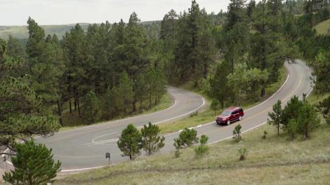 Winding road through hills and forests in Custer State Park in Custer, South Dakota