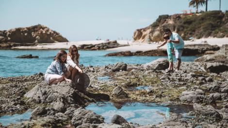 Spotting sea life in tide pools at Treasure Island Beach
