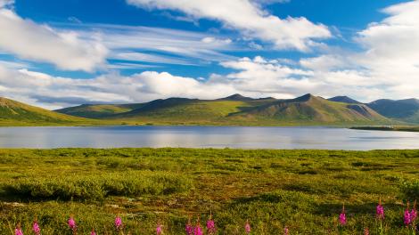 Paisagem colorida de verão nas montanhas