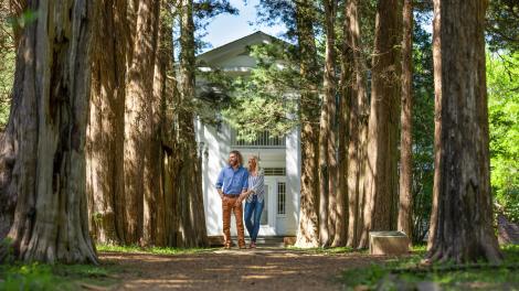 Storied red cedar trees outside Rowan Oak, the home of writer William Faulkner in Oxford, Mississippi Storied red cedar trees outside Rowan Oak, the home of writer William Faulkner in Oxford, Mississippi