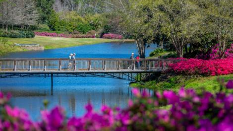 AL_Alabama_Visit Mobile_0723_Bellingrath-Azaleas-7