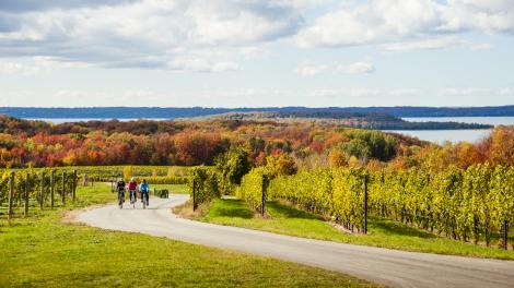 Balade à vélo en automne, le long d’un vignoble de Traverse City