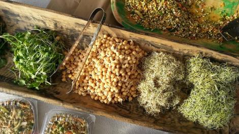 Market at the Horse Farm