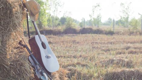 Un violon et une guitare, prêts pour une session de bluegrass improvisée Un violon et une guitare, prêts pour une session de bluegrass improvisée