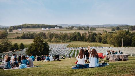 Salida por la tarde al pintoresco Arrington Vineyards