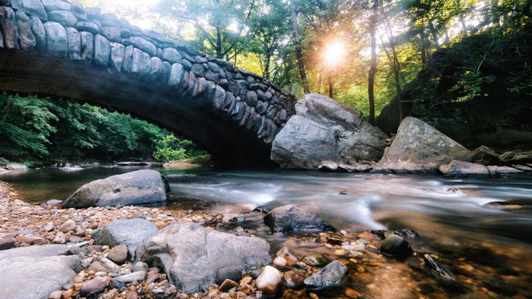 Trails in Rock Creek Park, sprawling across northwestern Washington, D.C.