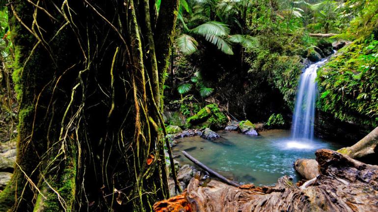 The Juan Diego Falls are one of many scenic places you’ll find in Puerto Rico’s El Yunque National Forest.