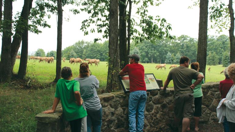 Elk viewing at Elk Country Visitor Center