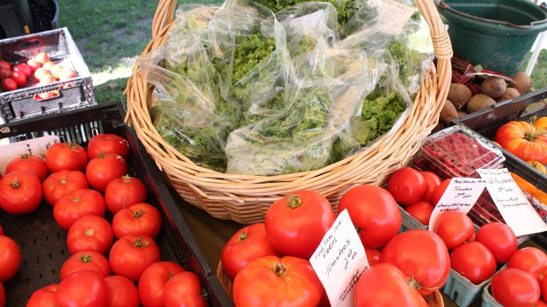 Fresh fruit and vegetables for sale at a local farmer’s market