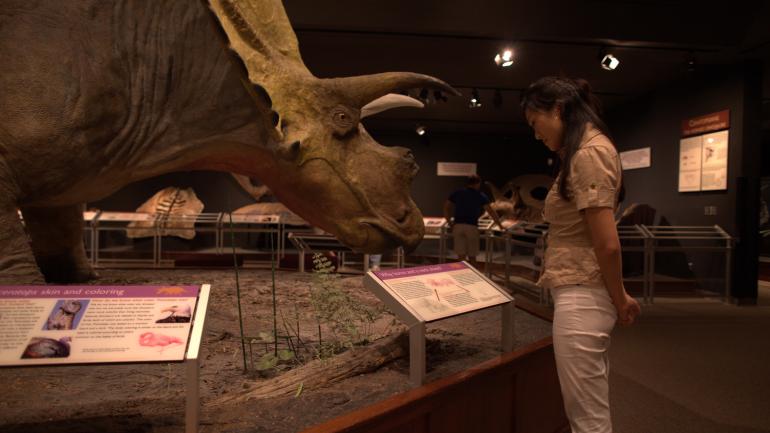 Dinosaur exhibit at the Museum of the Rockies in Bozeman