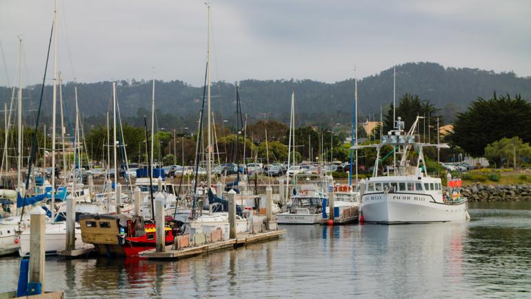 Vue de Monterey Bay depuis Fisherman's Wharf