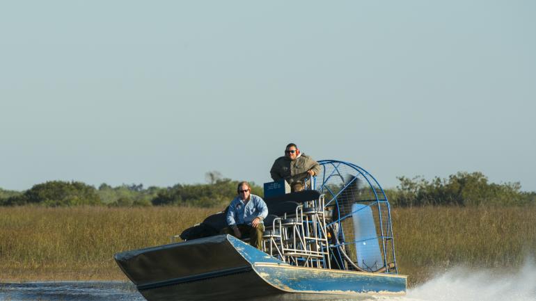 Sightseeing on an airboat tour through the Everglades