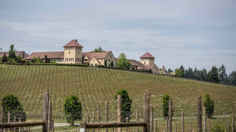 King Estate Winery in Eugene, a Willamette Valley institution