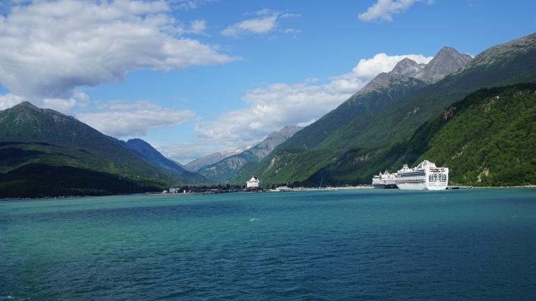 Day Trip: A Wildlife Cruise