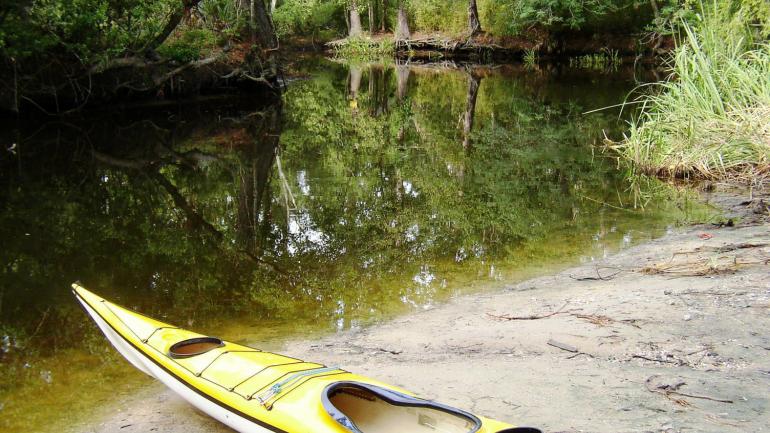 Cane Bayou is a popular spot for a serene kayaking trip