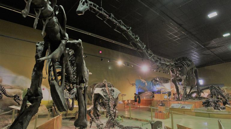 The impressive exhibits of the Wyoming Dinosaur Center in Thermopolis, Wyoming