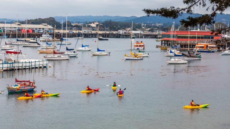 Kayakers paddling among sailboats in Monterey Bay