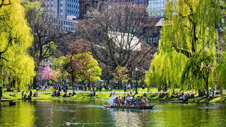 马萨诸塞州波士顿公共花园内的一艘天鹅游船