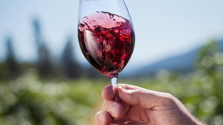 Dégustation de vin rouge dans un vignoble de Medford