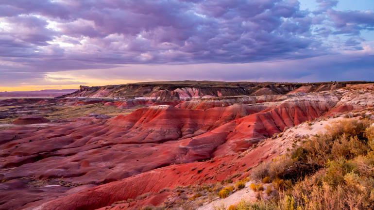 Painted Desert 国家公园的美景