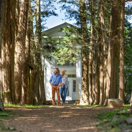 Árvores de cedro vermelho ao redor de Rowan Oak, a casa do escritor William Faulkner em Oxford, Mississippi