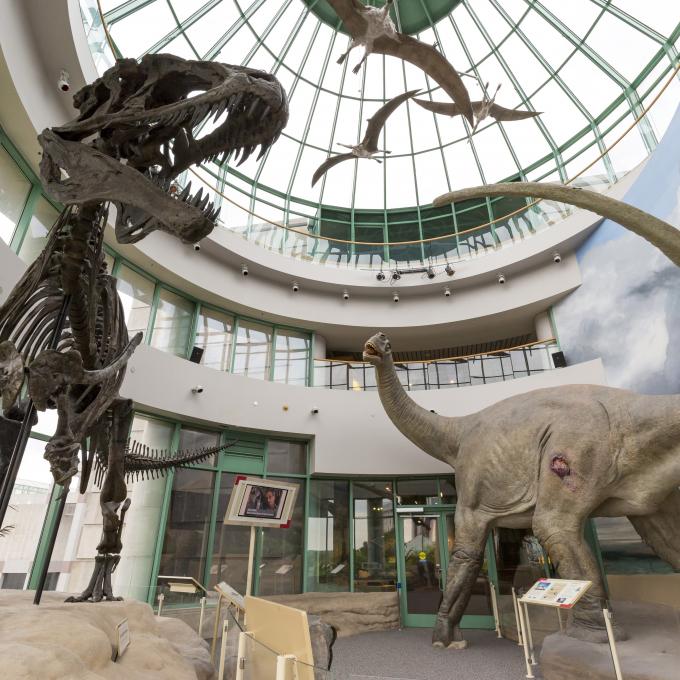 Interior do North Carolina Museum of Natural Sciences em Raleigh