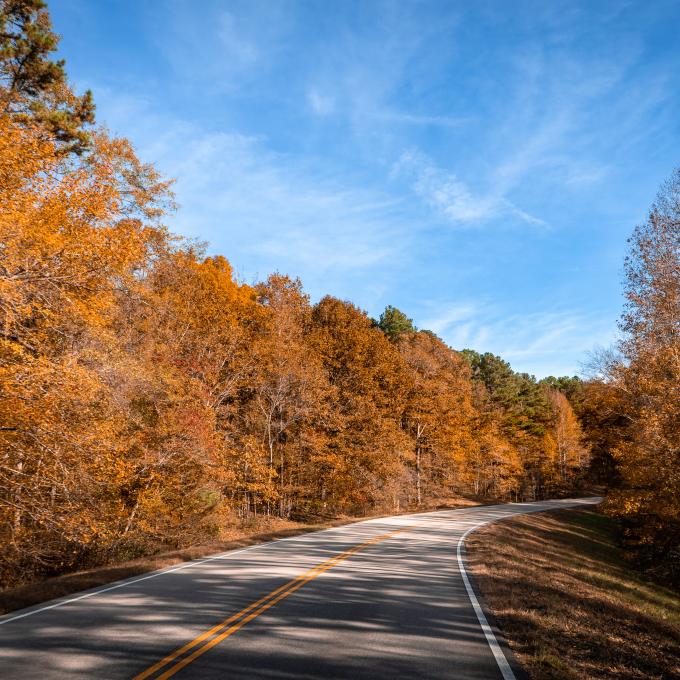 미시시피주 투펄로 근방 나체스 트레이스 파크웨이 주변의 가을 수목 풍경