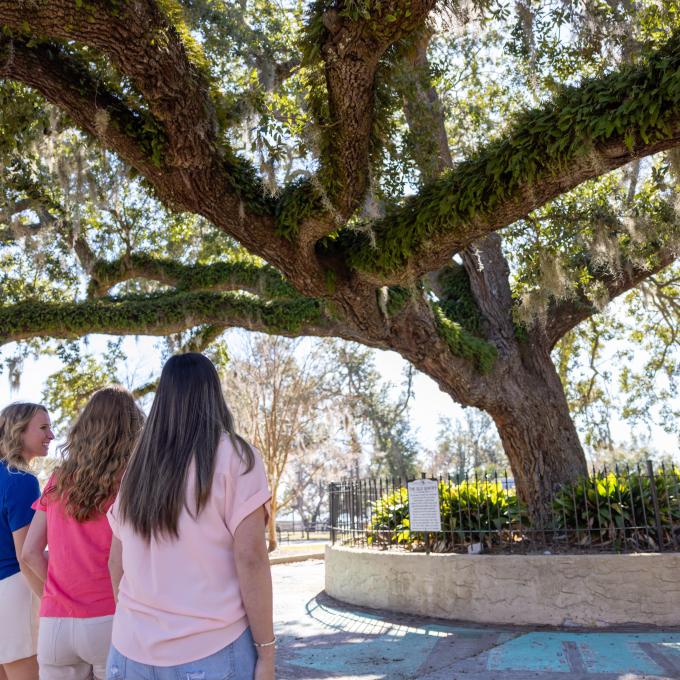 Standing in front of Panama City, Florida's "Sentry Oak" tree