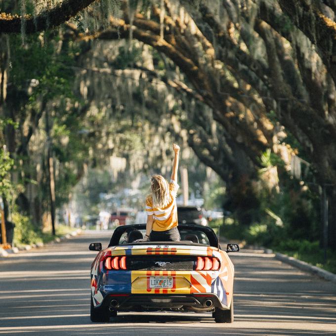 沿佛罗里达州东海岸的林荫公路行驶