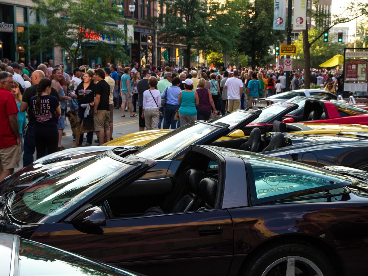Admiring an array of Corvettes lining the street 
