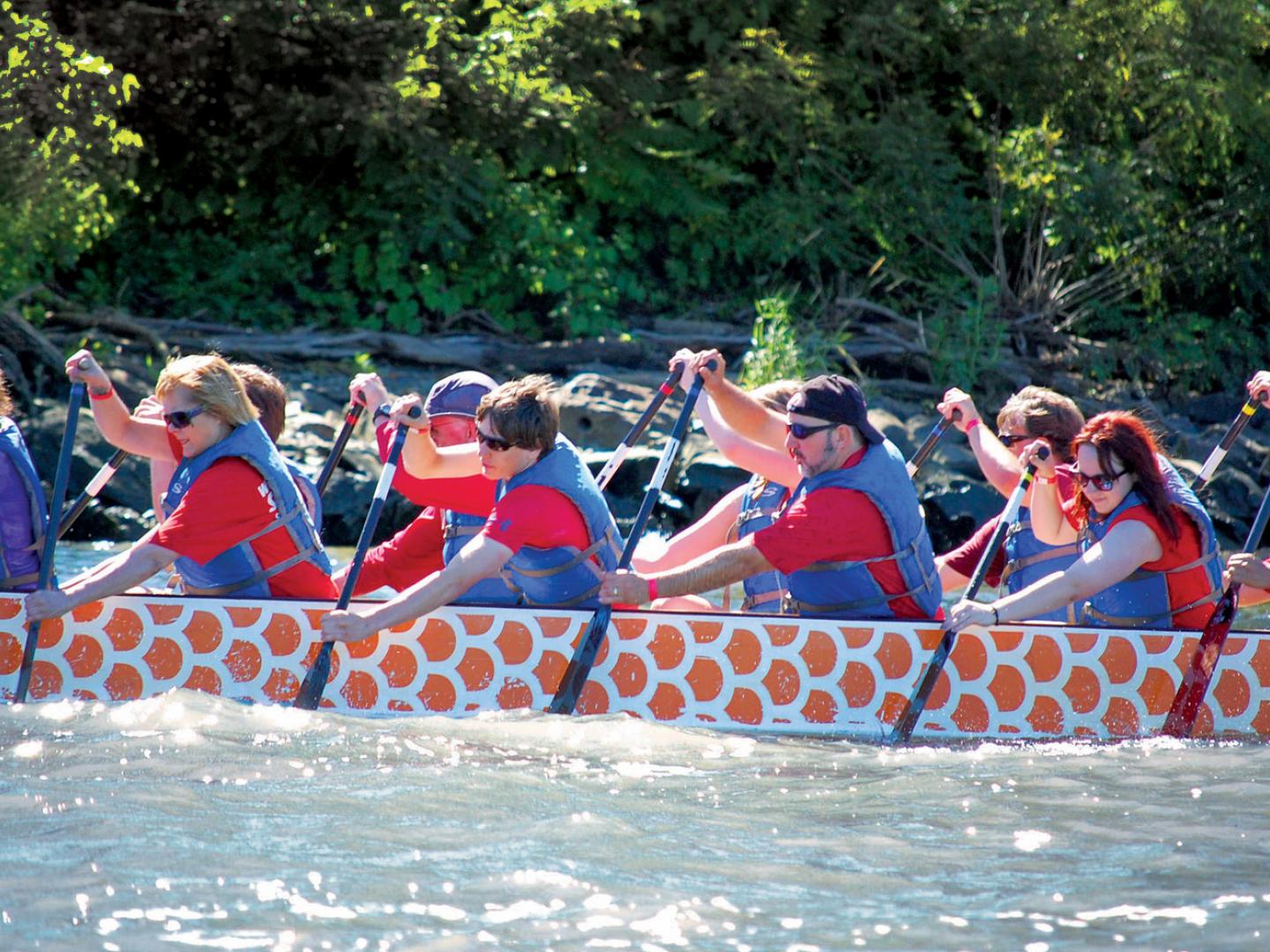 Working together in the Dragon Boat Race