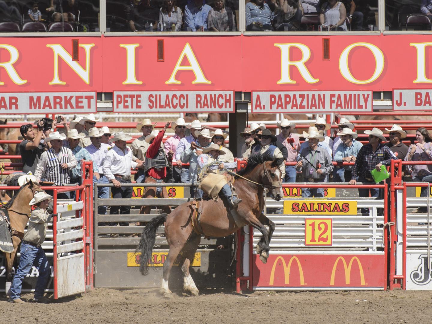 Laissez-vous emporter par le Rodeo Salinas