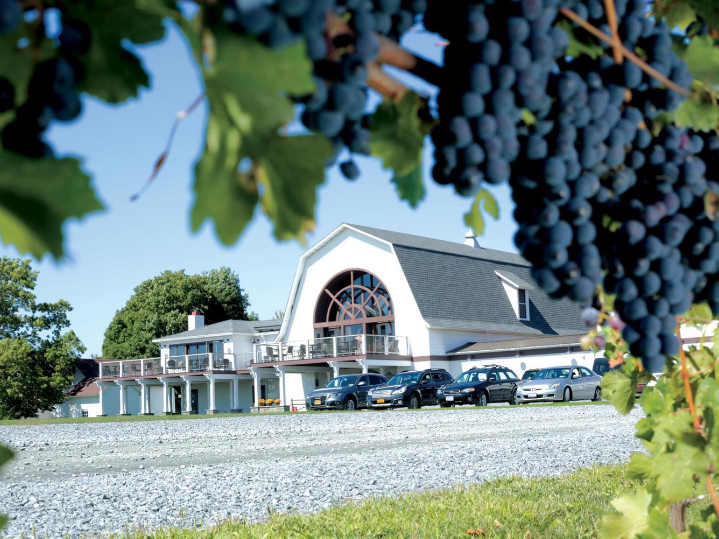 Millbrook Vineyards and Winery, the setting for a summer jazz series