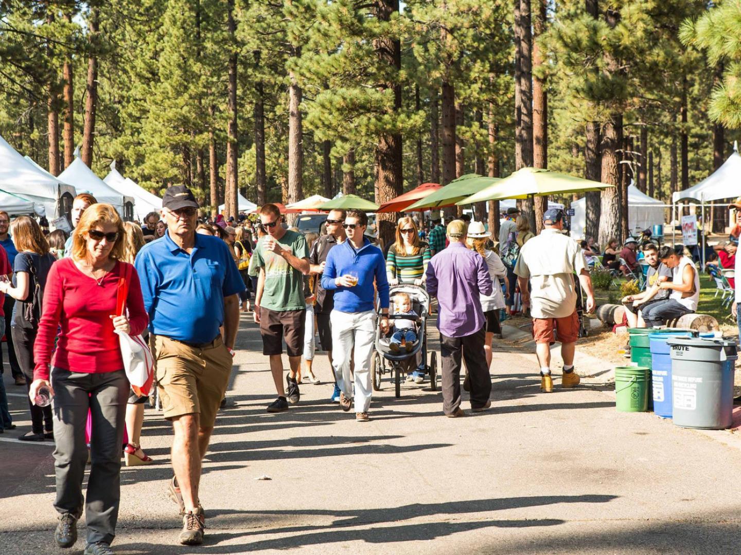 Strolling through Sample the Sierra