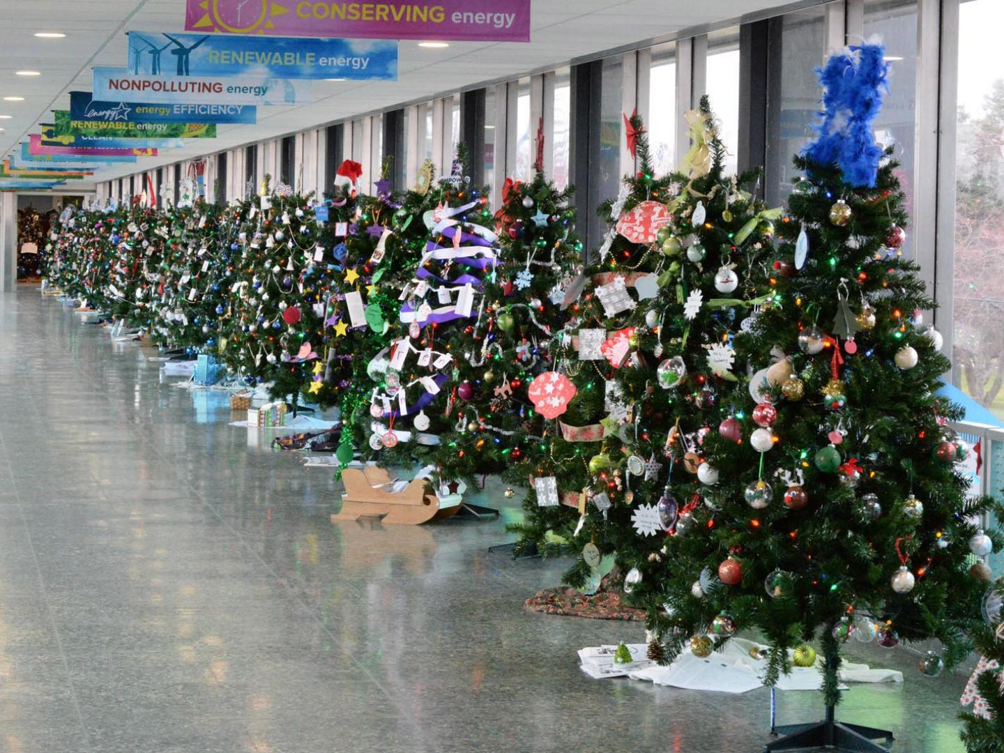 Decorated trees lined up during the Niagara Power Project Festival of Trees