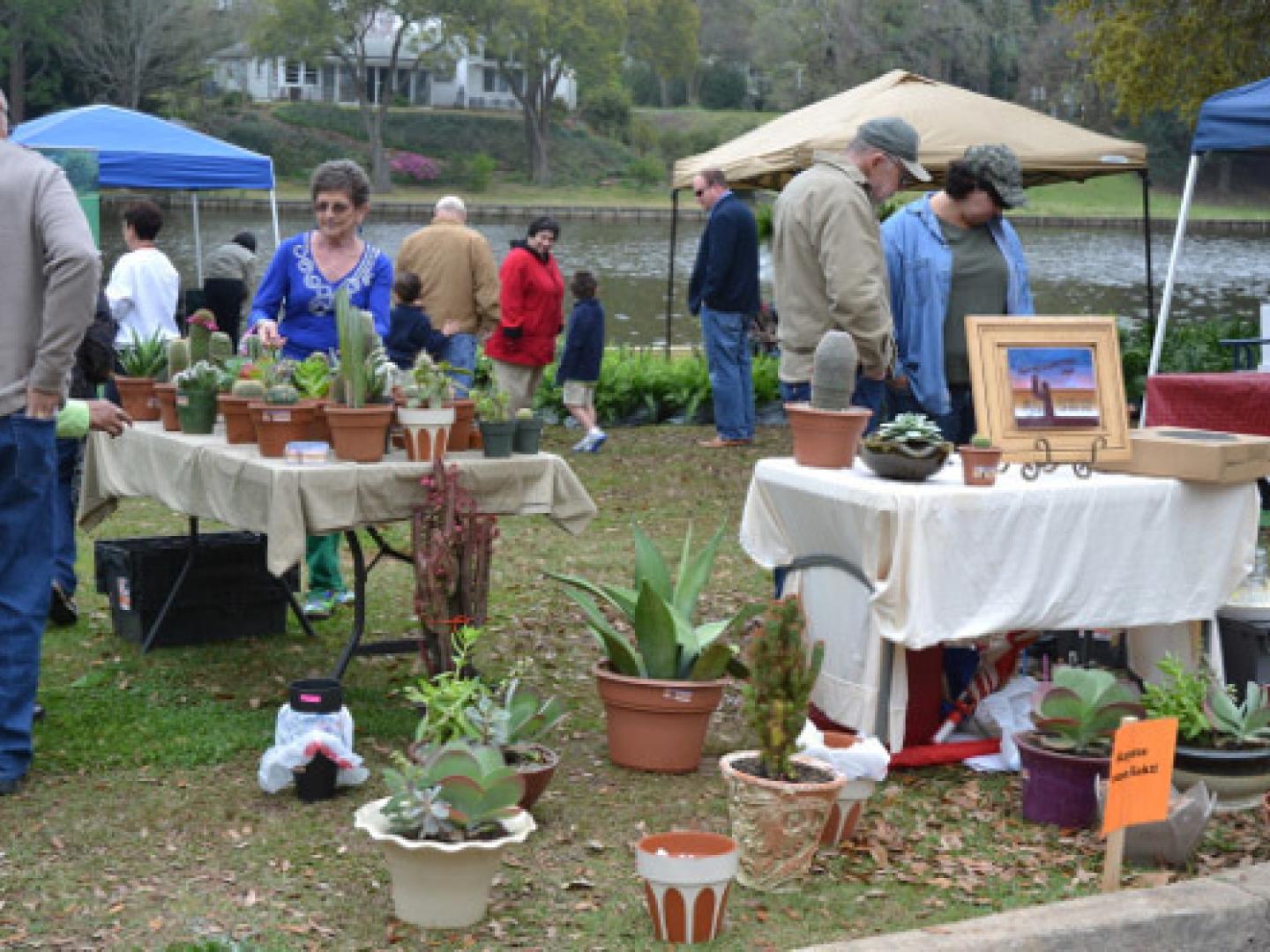 Plants for sale during Bloomin’ on the Bricks