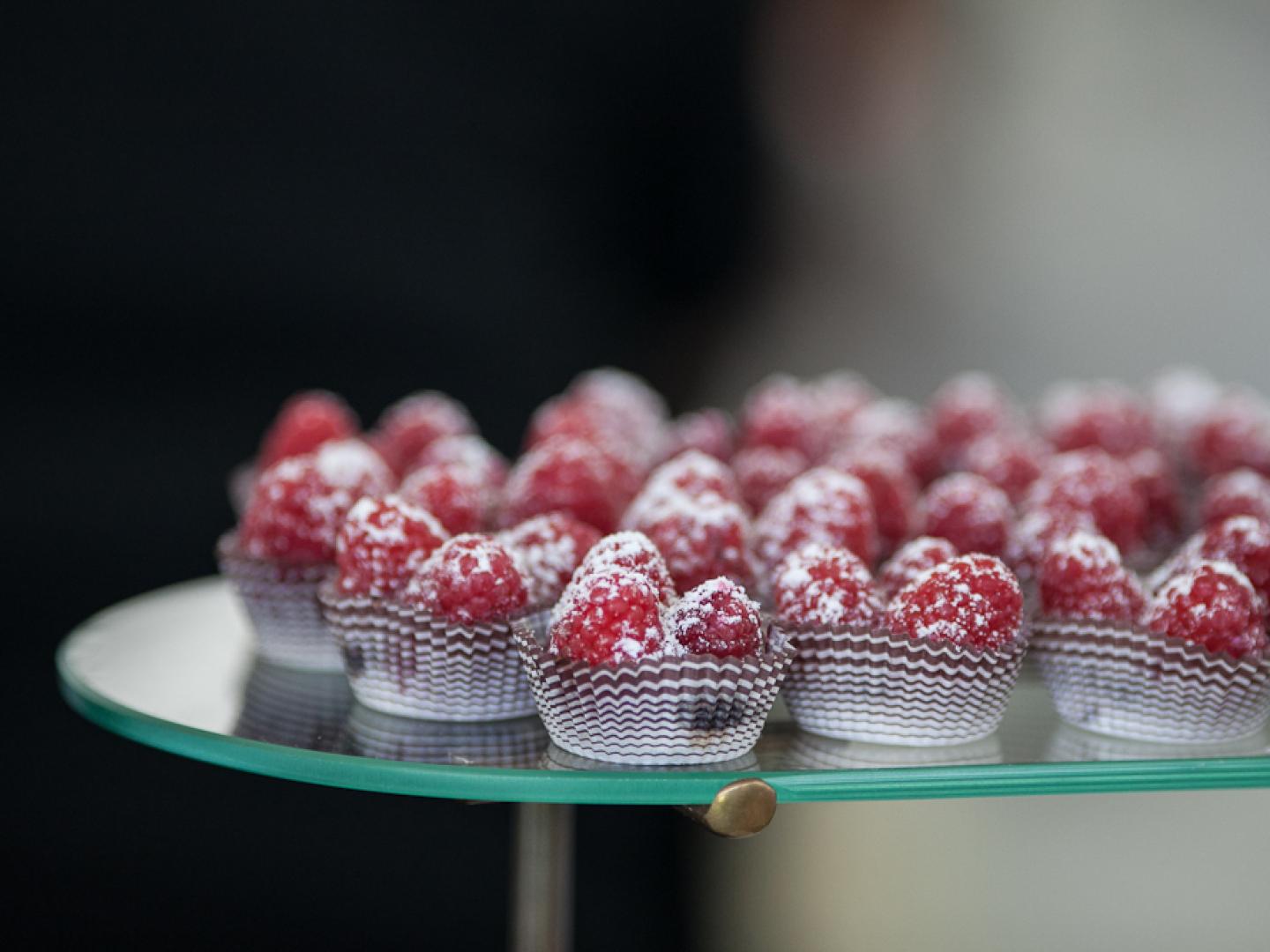Delicias gastronómicas en la celebración de Chicago Gourmet en Millennium Park
