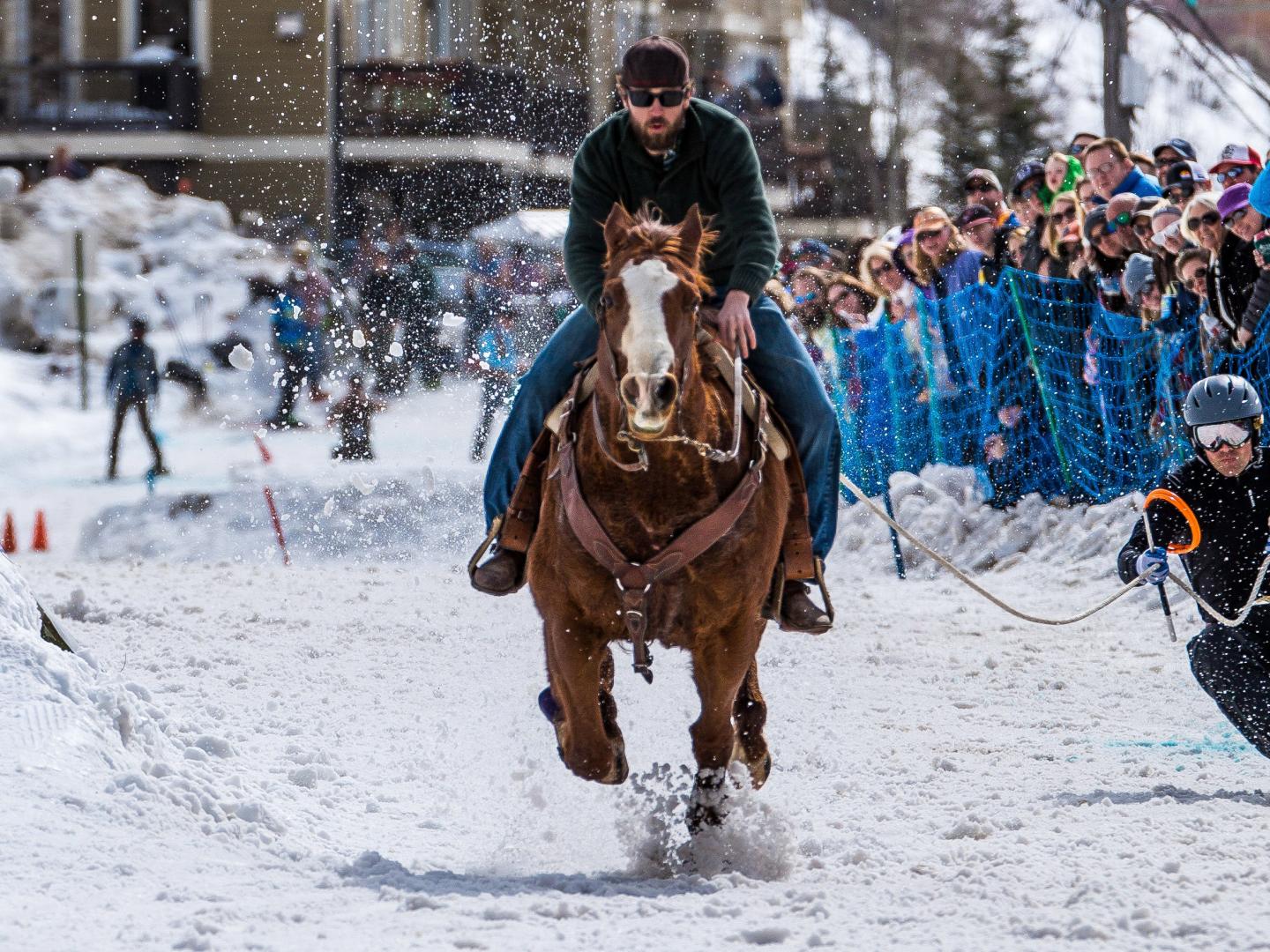 Skijoring con caballos durante los Skijor West Championships de West Yellowstone