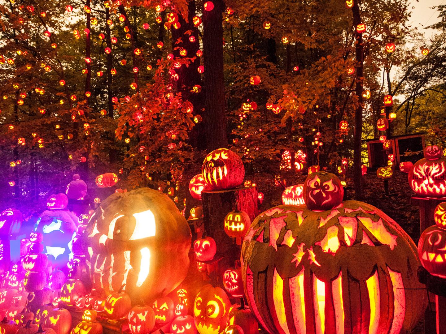 Des milliers de « jack-o’-lanterns » exposées dans l’Iroquois Park lors du Jack-O-Lantern Spectacular à Louisville, Kentucky