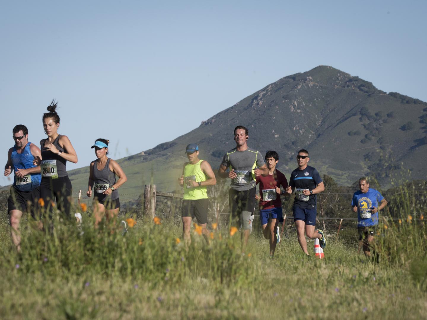 Runners compete in the San Luis Obispo Marathon + Half, California