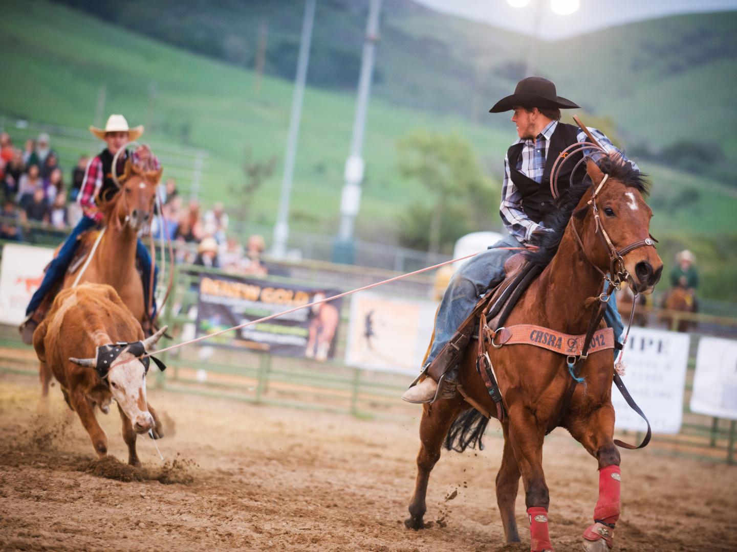 Participating in the annual Poly Royal Rodeo, part of the California Polytechnic State University rodeo program