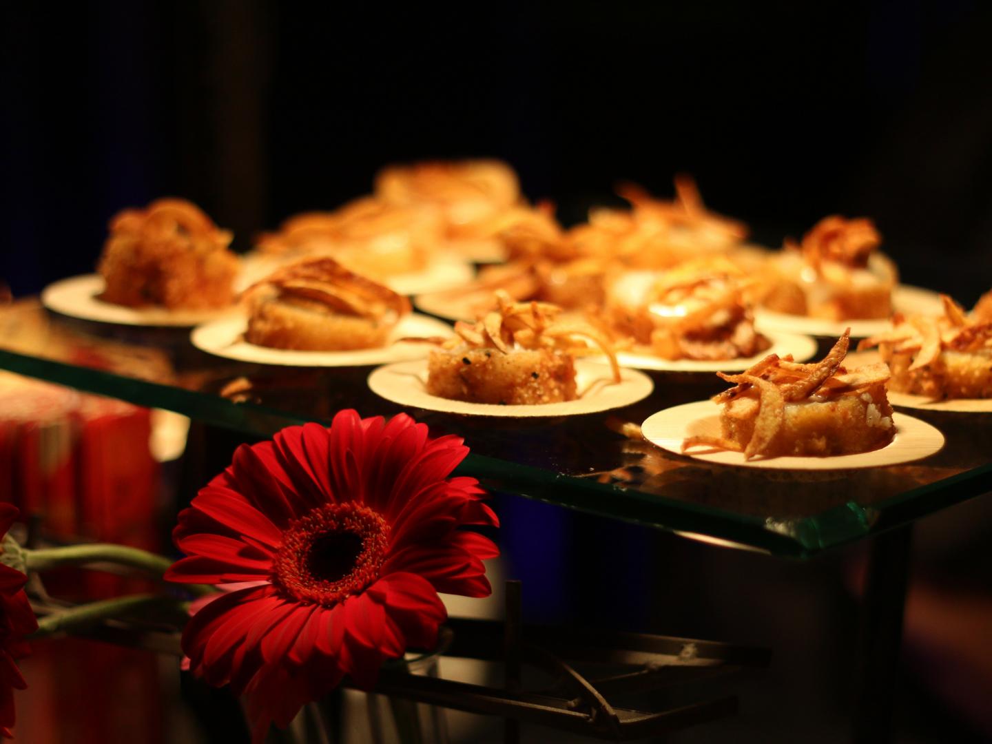 Dishes on display at Albany Chef’s Food & Wine Festival: Wine & Dine for the Arts event in New York State