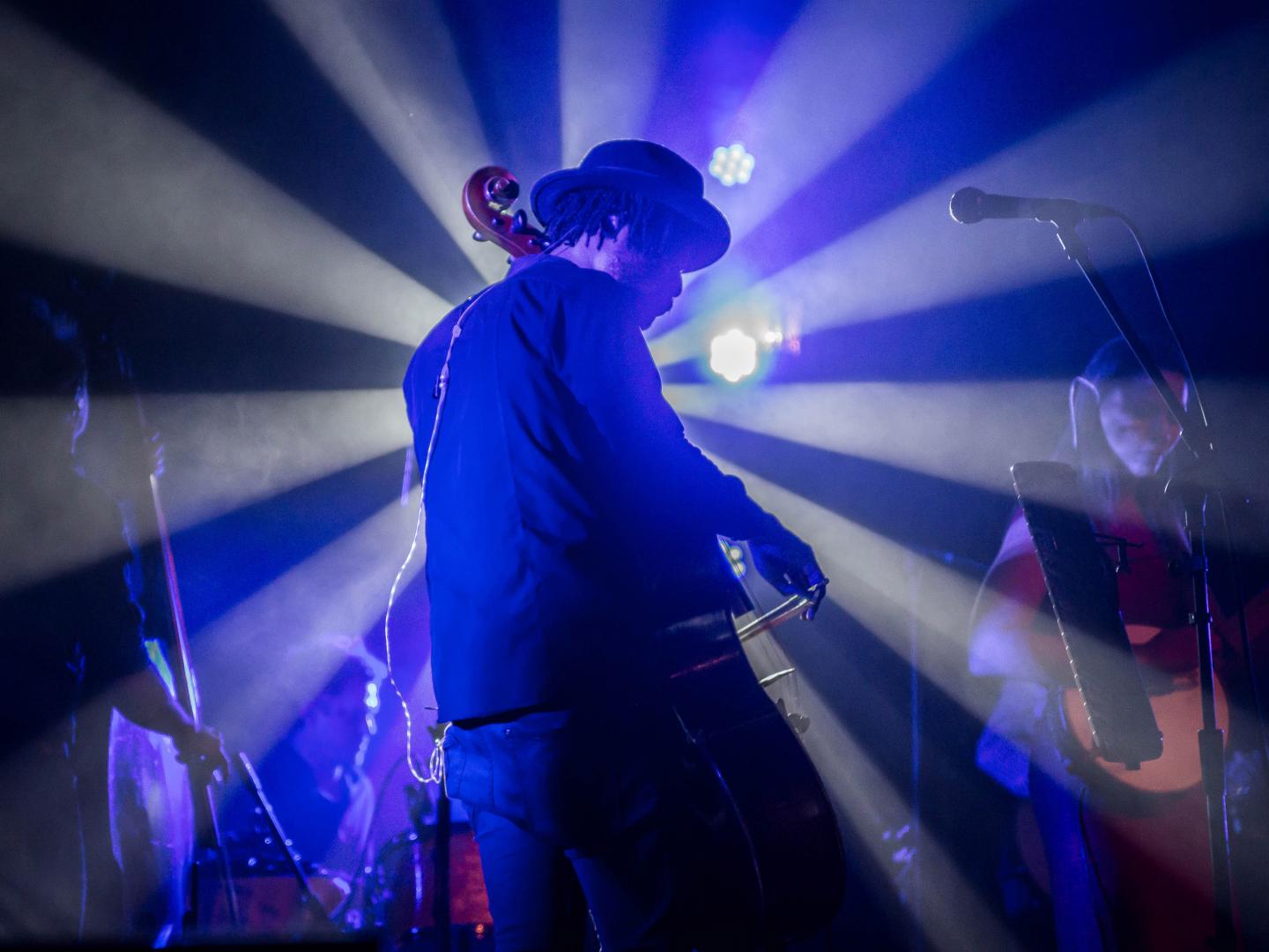 テネシー州ノックスビルのビッグ・イヤーズ・フェスティバルで演奏するミュージシャンたち