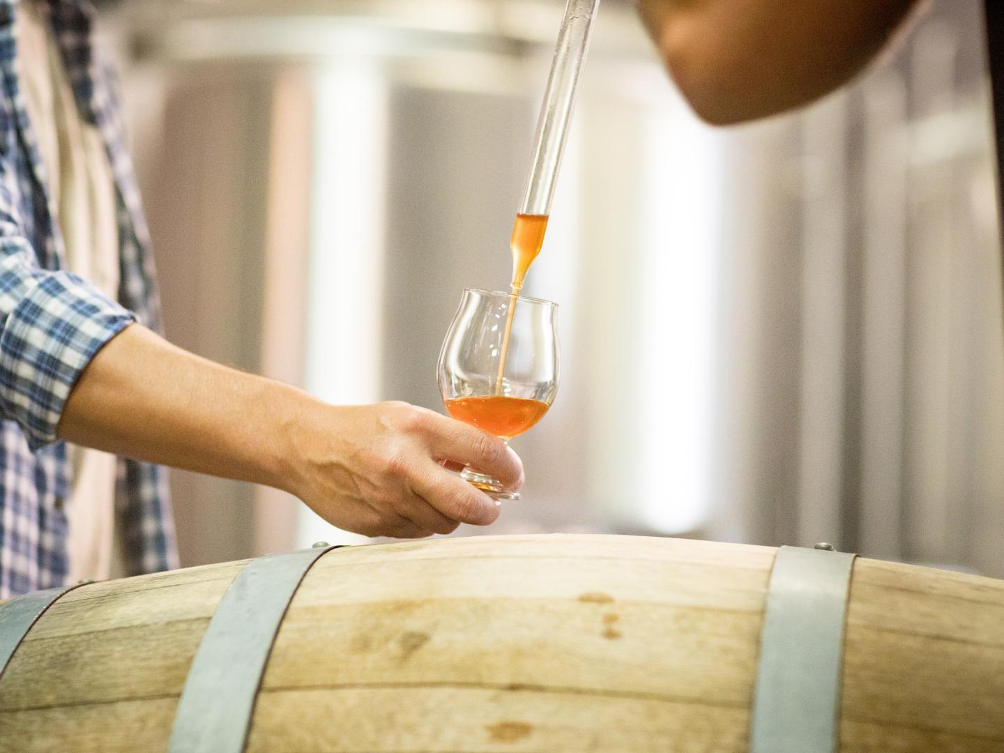 A craft brewer pouring a tasting during the Craft Hop Beer Tour in Temecula Valley, California 