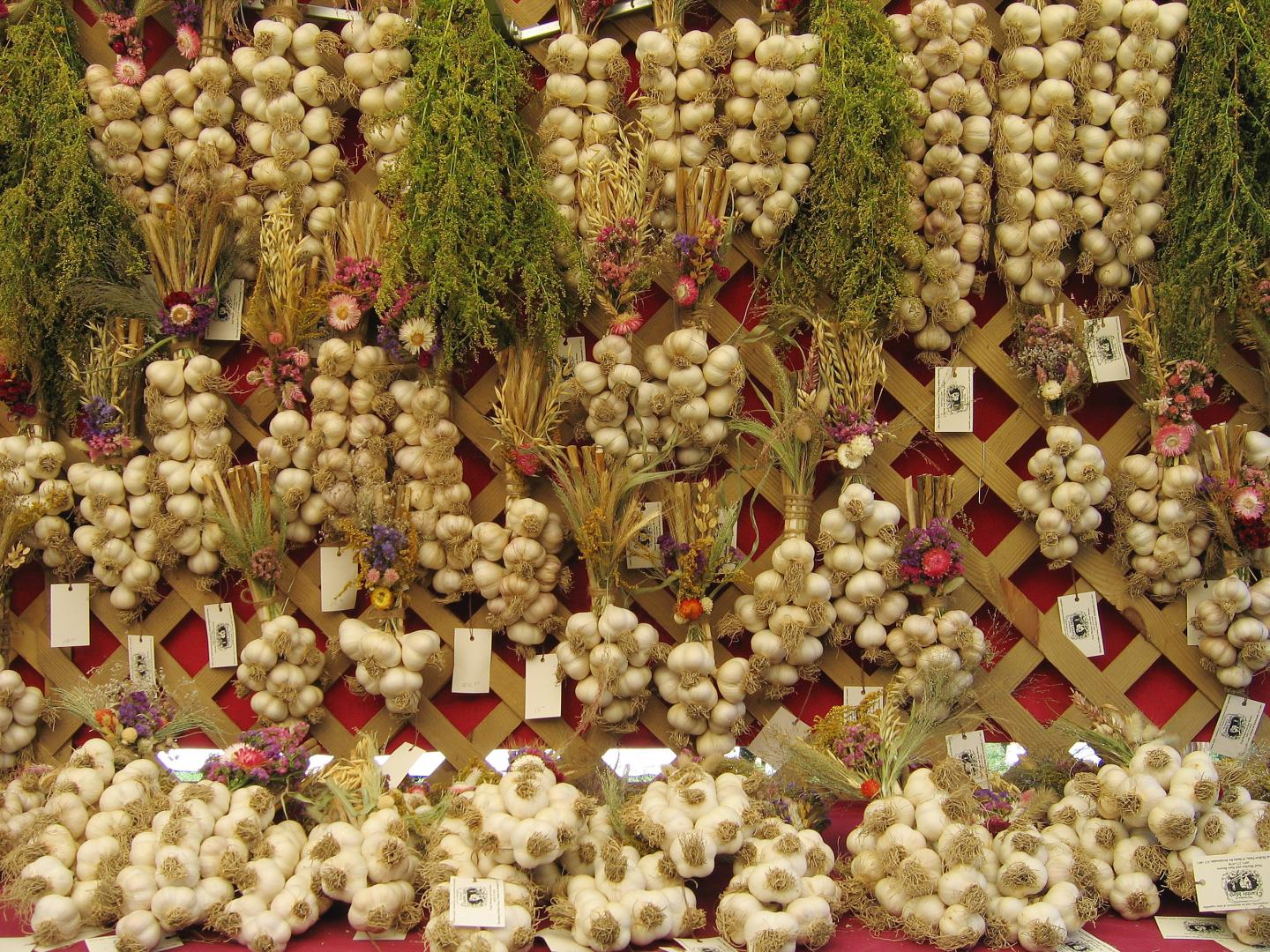 Trenzas de ajo Earthly Mirth en Cantine Field, Saugerties, Nueva York