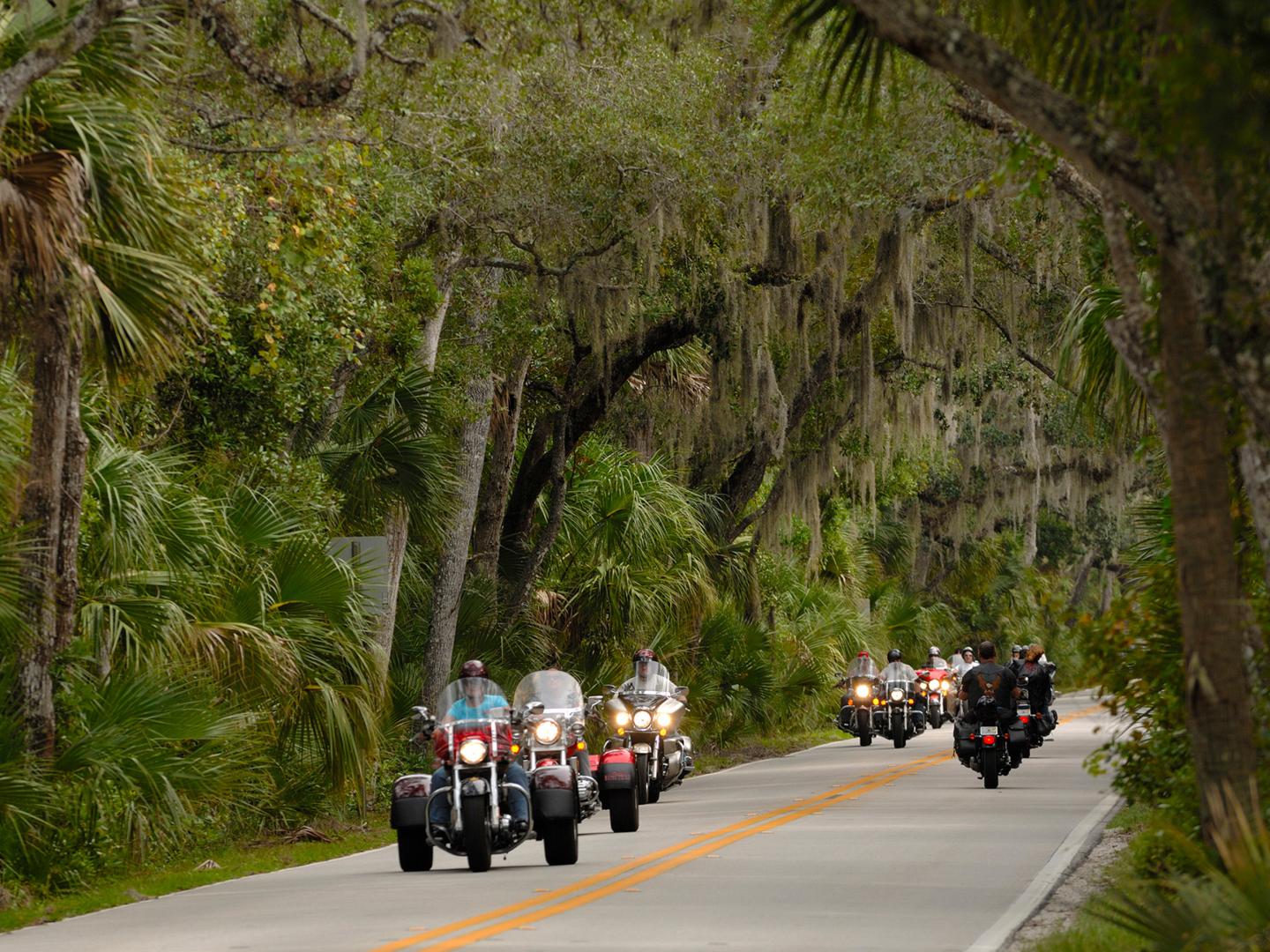Motards traversant une rue bordée d’arbres lors du Biketoberfest à Daytona Beach, Floride